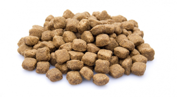 Brokken   003   adult maxi