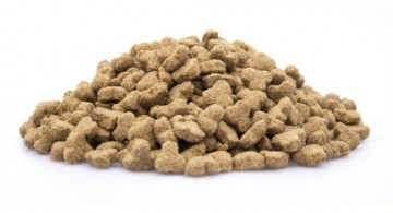 Brokken   006   adult senior light