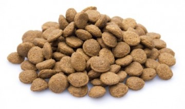 Brokken   152   super premium junior 1