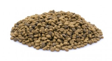 Brokken   155   super premium puppy