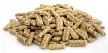 Brokken   super premium excellent lamb  rice